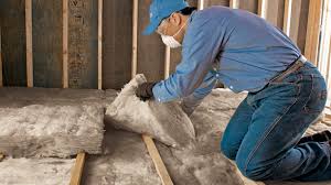 Types of Insulation We Offer in Lake Of The Woods, IL